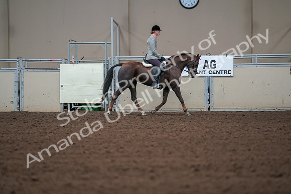 2019 Morgan Horse Show - Aug 30, 2019 - 18505