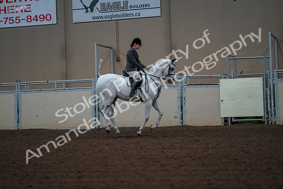 2019 Morgan Horse Show - Aug 30, 2019 - 17557