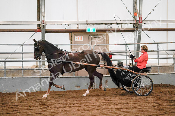July 19, 2019 - 6989