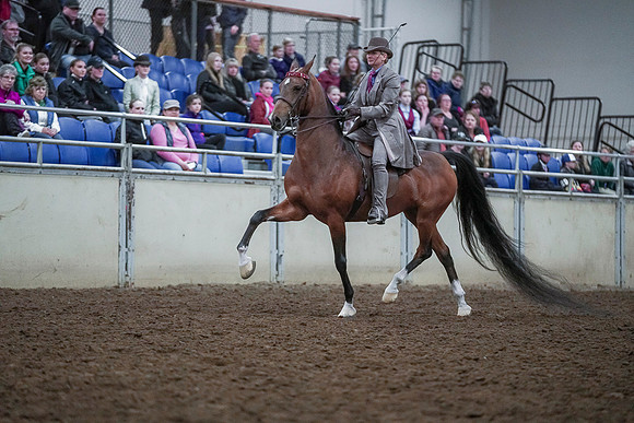 Spring Fling - Saturday - April 20, 2019  -  00487