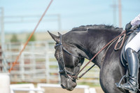 Cross National Cup Canada - Aug 17, 2019 - 07056