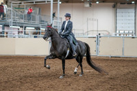 2020 - AB Morgan Horse - Sun, Sept 06 - 08289