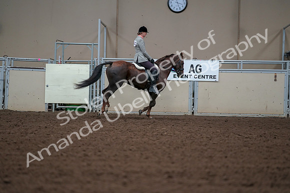 2019 Morgan Horse Show - Aug 30, 2019 - 18572
