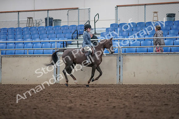 2019 Morgan Horse Show - Aug 31, 2019 - 16762