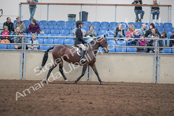 2019 Morgan Horse Show - Aug 31, 2019 - 19596