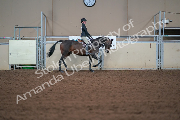 2019 Morgan Horse Show - Aug 30, 2019 - 20689