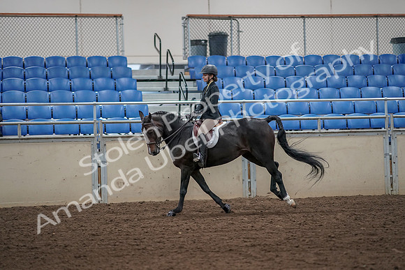 2019 Morgan Horse Show - Aug 31, 2019 - 05030