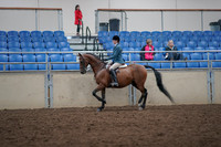 Class 116 - All Breed Hunter Pl Amateur Jr Exhibitor