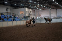 2019 Morgan Horse Show - Aug 31, 2019 - 01487