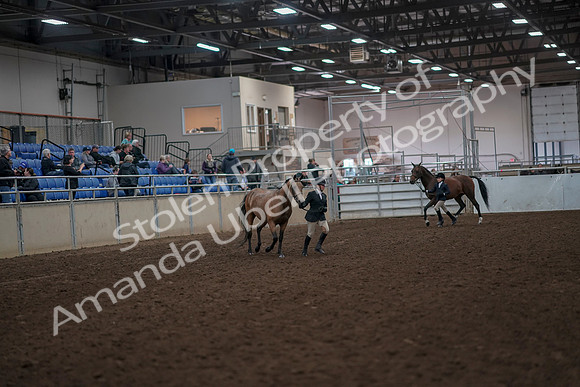2019 Morgan Horse Show - Aug 31, 2019 - 01487
