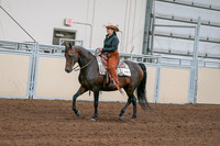 2020 - AB Morgan Horse - Sun, Sept 06 - 01543