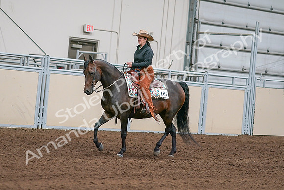 2020 - AB Morgan Horse - Sun, Sept 06 - 01543