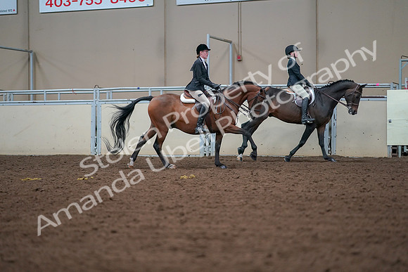 2019 Morgan Horse Show - Aug 30, 2019 - 20999