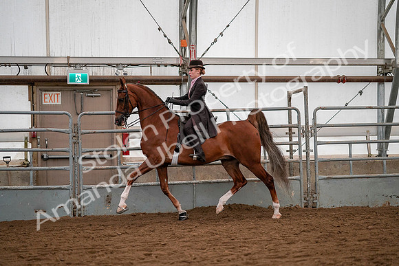 July 19, 2019 - 10349