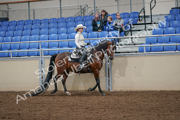 2020 - AB Morgan Horse - Fri, Sept 04 - 08436