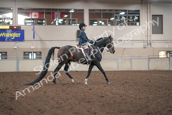 2019 Morgan Horse Show - Aug 31, 2019 - 19609
