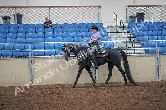 2019 Morgan Horse Show - Aug 30, 2019 - 16752
