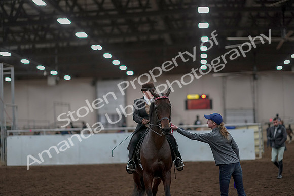 2019 Morgan Horse Show - Aug 30, 2019 - 28272
