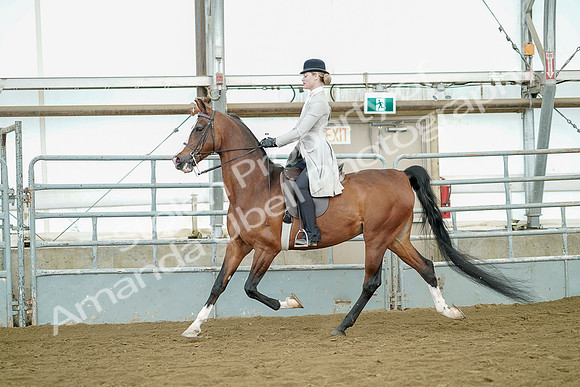 July 20, 2019 - 07790