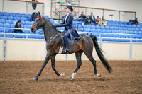 2020 - AB Morgan Horse - Sat, Sept 05 - 02619