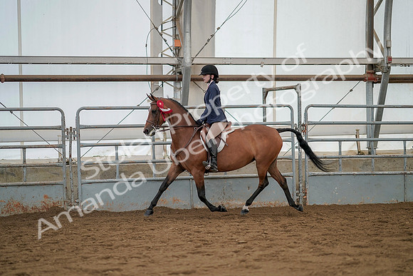 July 20, 2019 - 03509