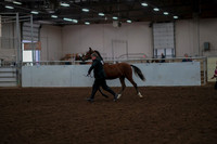 2019 Morgan Horse Show - Aug 30, 2019 - 25524