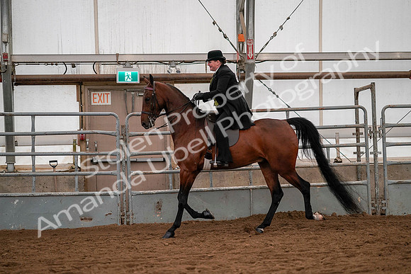 July 19, 2019 - 10286