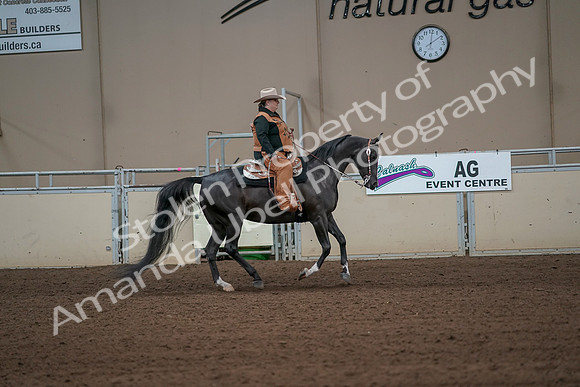 2019 Morgan Horse Show - Aug 31, 2019 - 06171
