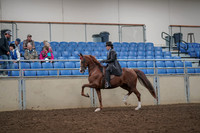 2019 Morgan Horse Show - Aug 30, 2019 - 26484
