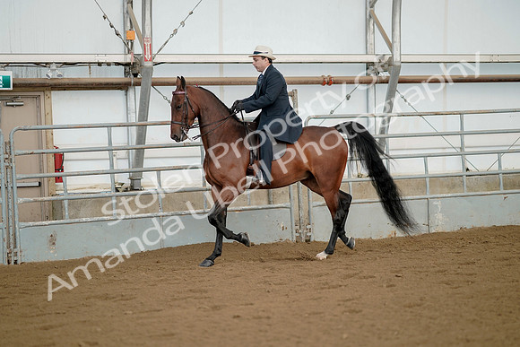 July 21, 2019 - 01554