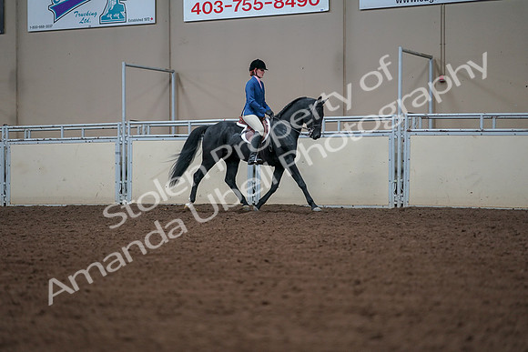 2019 Morgan Horse Show - Aug 30, 2019 - 18548