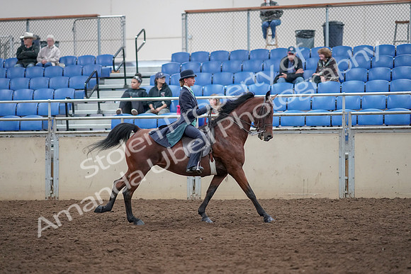 2019 Morgan Horse Show - Aug 31, 2019 - 09702