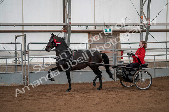 July 20, 2019 - 00317
