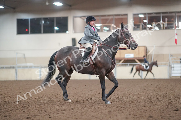 2019 Morgan Horse Show - Aug 31, 2019 - 19640