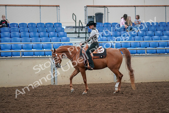 2019 Morgan Horse Show - Aug 30, 2019 - 16736