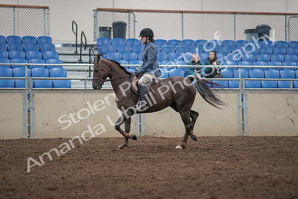 2019 Morgan Horse Show - Aug 31, 2019 - 07288