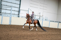 2020 - AB Morgan Horse - Sat, Sept 05 - 12073