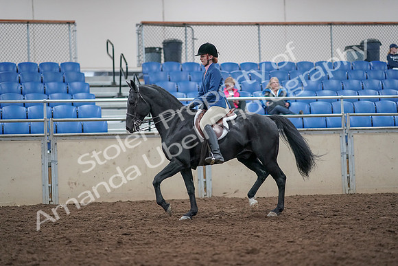 2019 Morgan Horse Show - Aug 31, 2019 - 16609