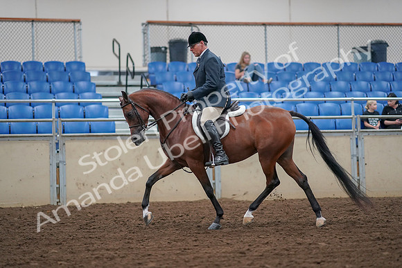 2019 Morgan Horse Show - Aug 30, 2019 - 16129
