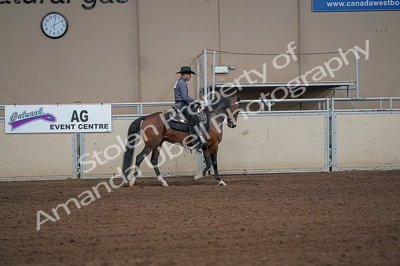 2019 Morgan Horse Show - Aug 31, 2019 - 06194