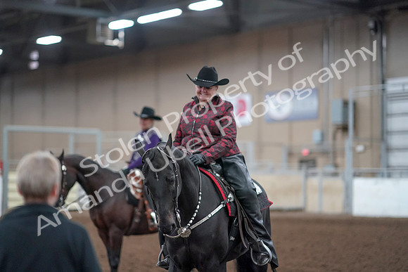 2019 Morgan Horse Show - Aug 31, 2019 - 10795