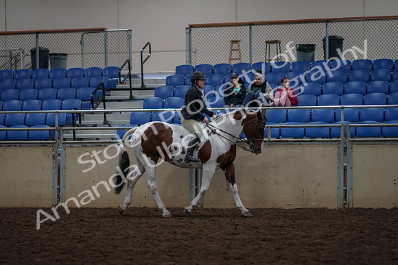 2019 Morgan Horse Show - Aug 30, 2019 - 31405