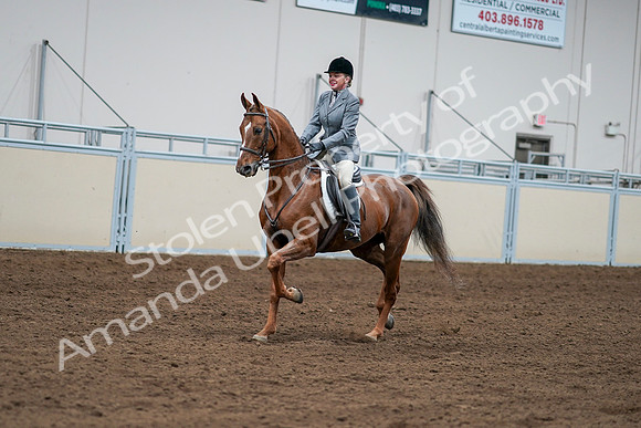 2020 - AB Morgan Horse - Sat, Sept 05 - 03265