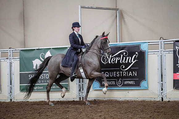 Spring Fling - Saturday - April 20, 2019  -  04152