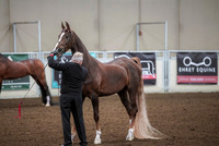 Spring Fling - Friday - April 19, 2019  -  03763