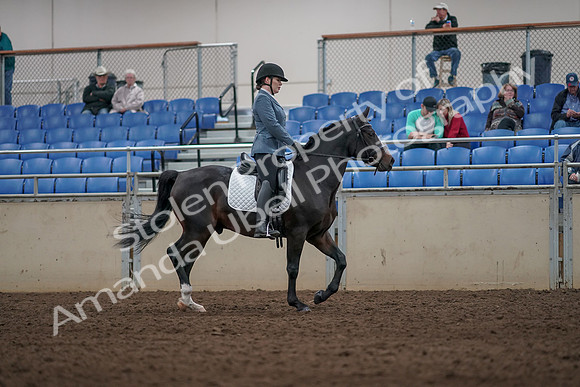 2019 Morgan Horse Show - Aug 31, 2019 - 07446