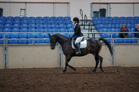 2019 Morgan Horse Show - Aug 31, 2019 - 16503