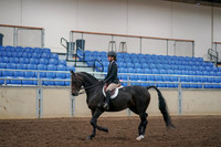 2019 Morgan Horse Show - Aug 30, 2019 - 12129