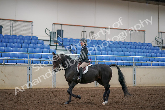2019 Morgan Horse Show - Aug 30, 2019 - 12129