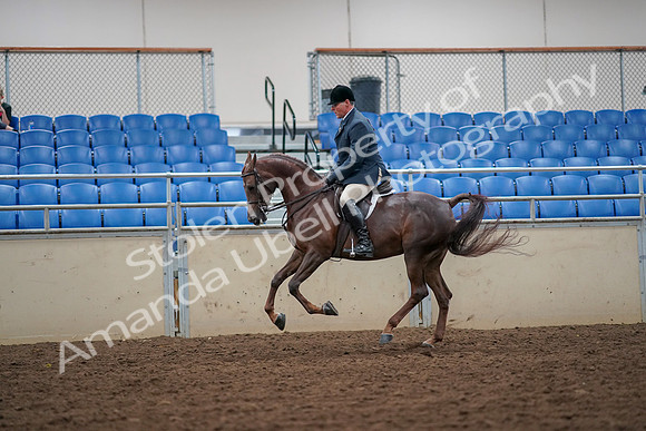 2019 Morgan Horse Show - Aug 30, 2019 - 17431